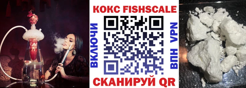 Купить где Нижняя Салда Cocaine FishScale