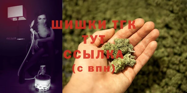 дмт Верея