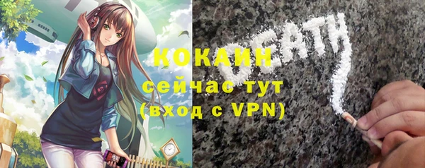 дмт Верея