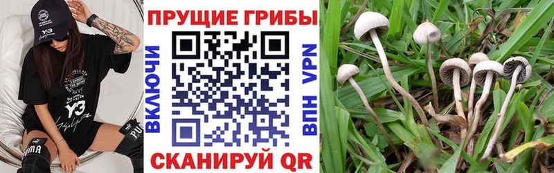 Псилоцибиновые грибы Magic Shrooms  Купить  Нижняя Салда 